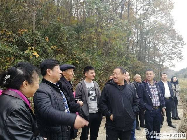 走进名优企业－米仓山茶业集团
