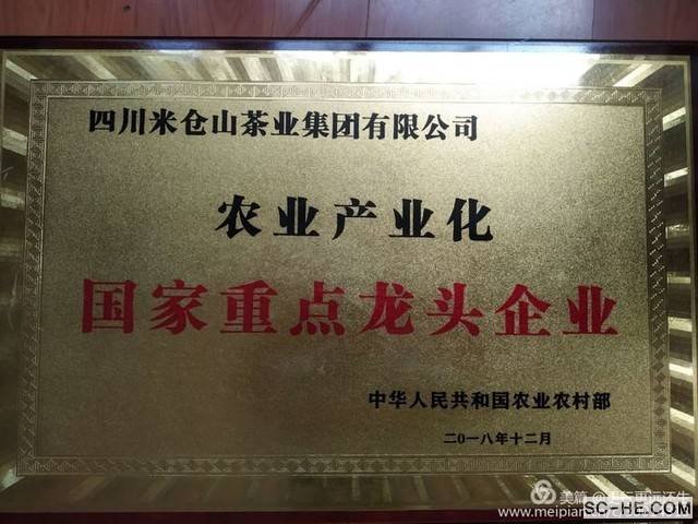走进名优企业－米仓山茶业集团