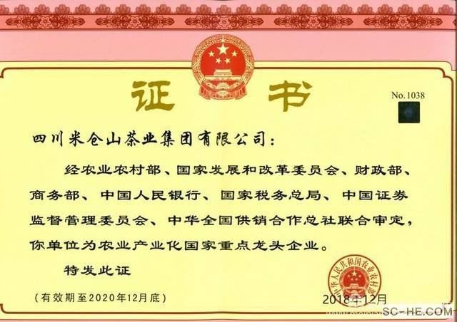 走进名优企业－米仓山茶业集团