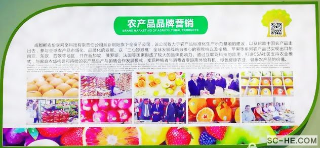【走进名优企业】-成都新朝阳