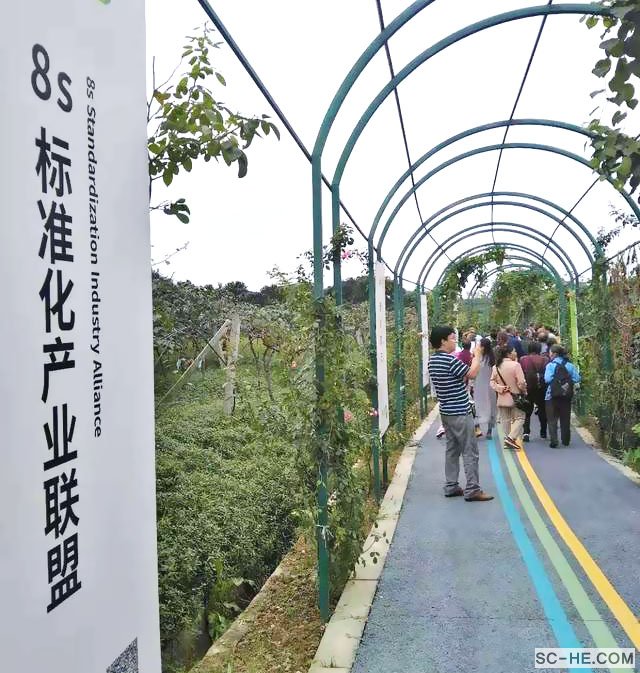【走进名优企业】-成都新朝阳