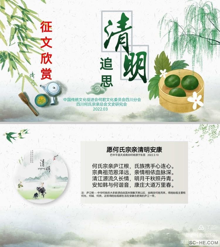 清明雨声碎 祭祖莫言悲（2022年）